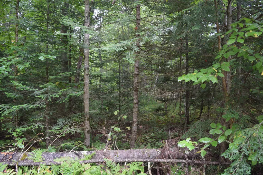 Pawtuckaway Road Haverhill NH 03765