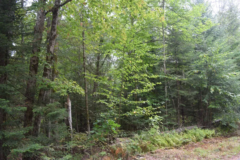 Pawtuckaway Road Haverhill NH 03765