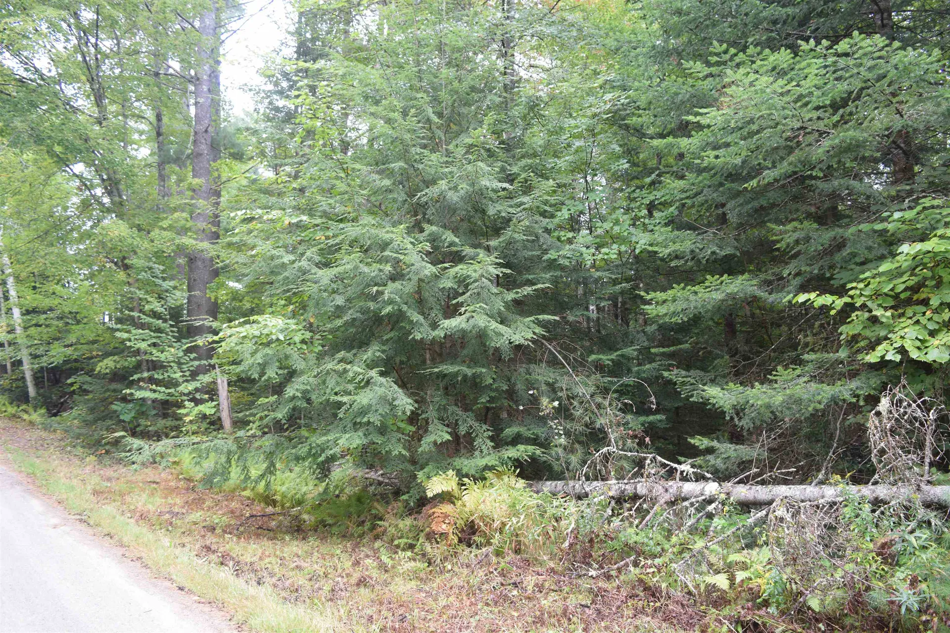 Pawtuckaway Road Haverhill NH 03765