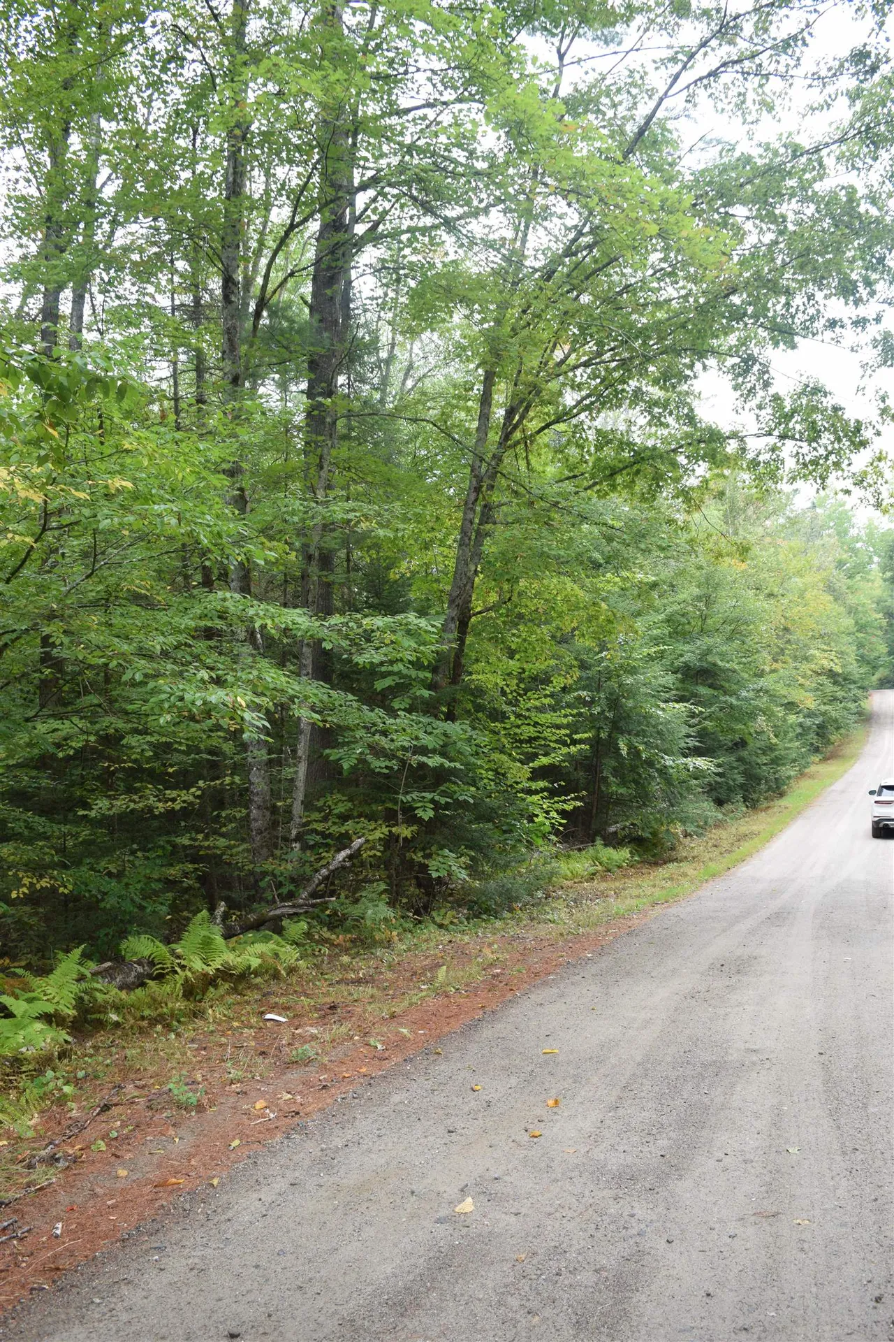 Pawtuckaway Road Haverhill NH 03765
