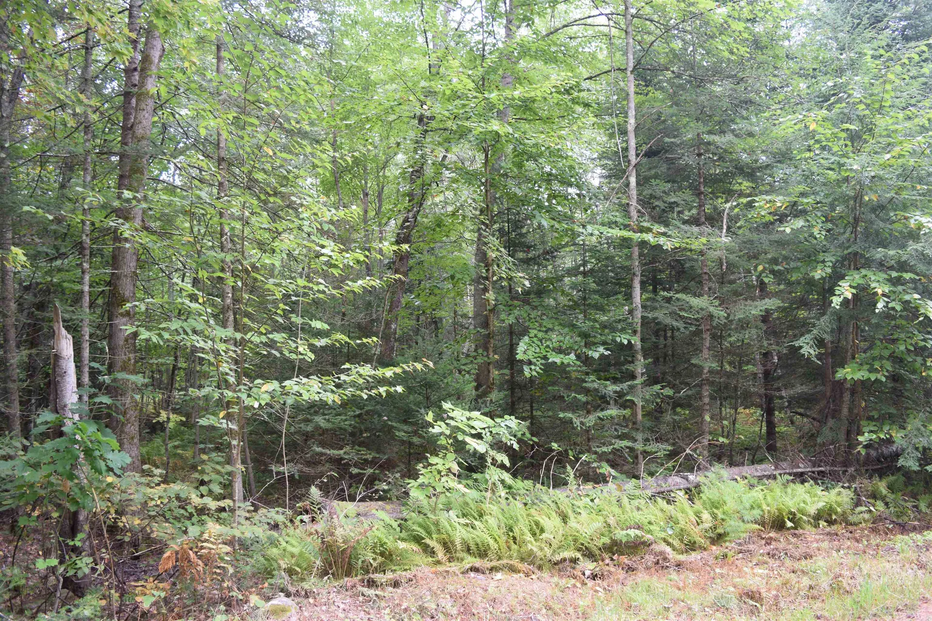 Pawtuckaway Road Haverhill NH 03765