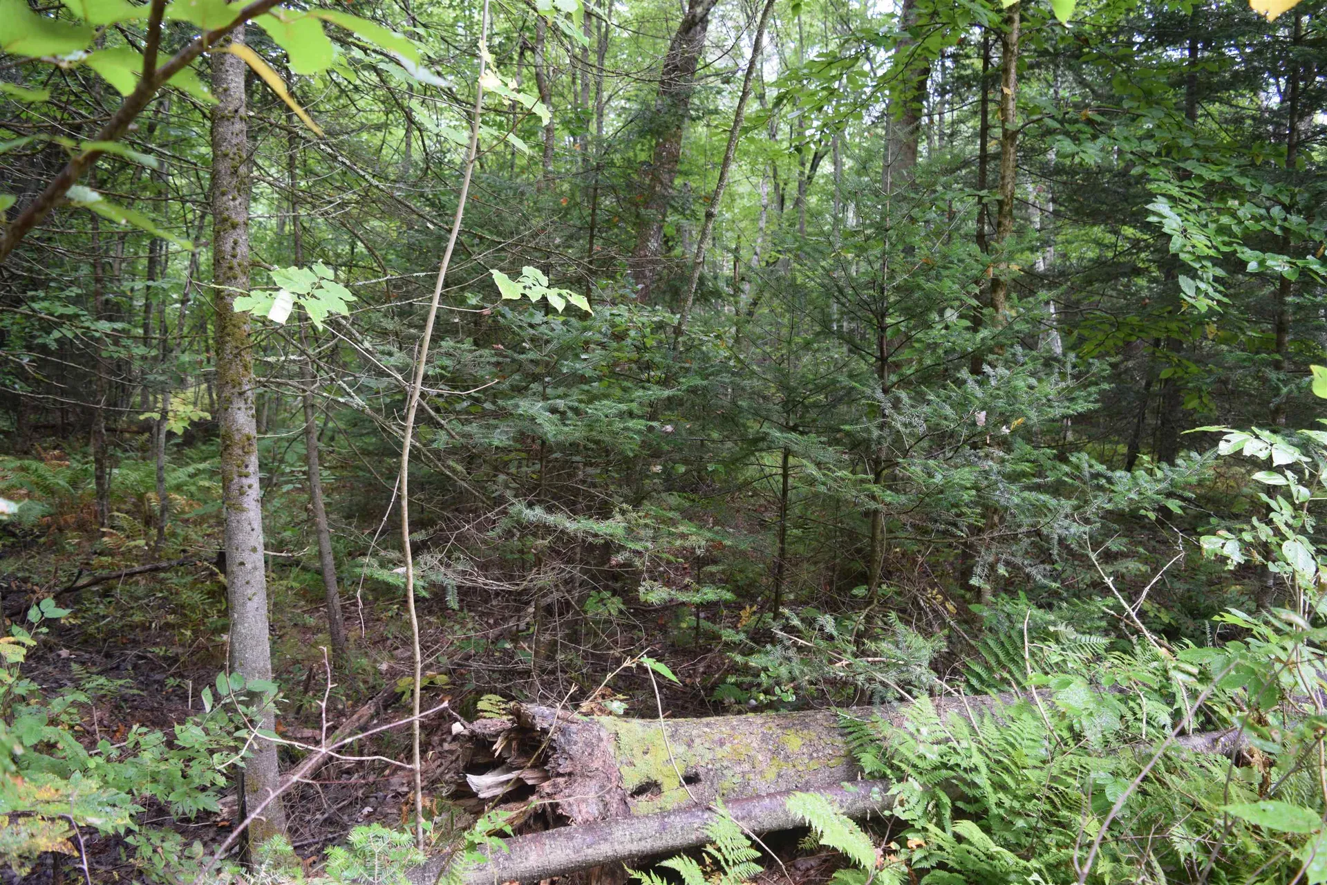 Pawtuckaway Road Haverhill NH 03765