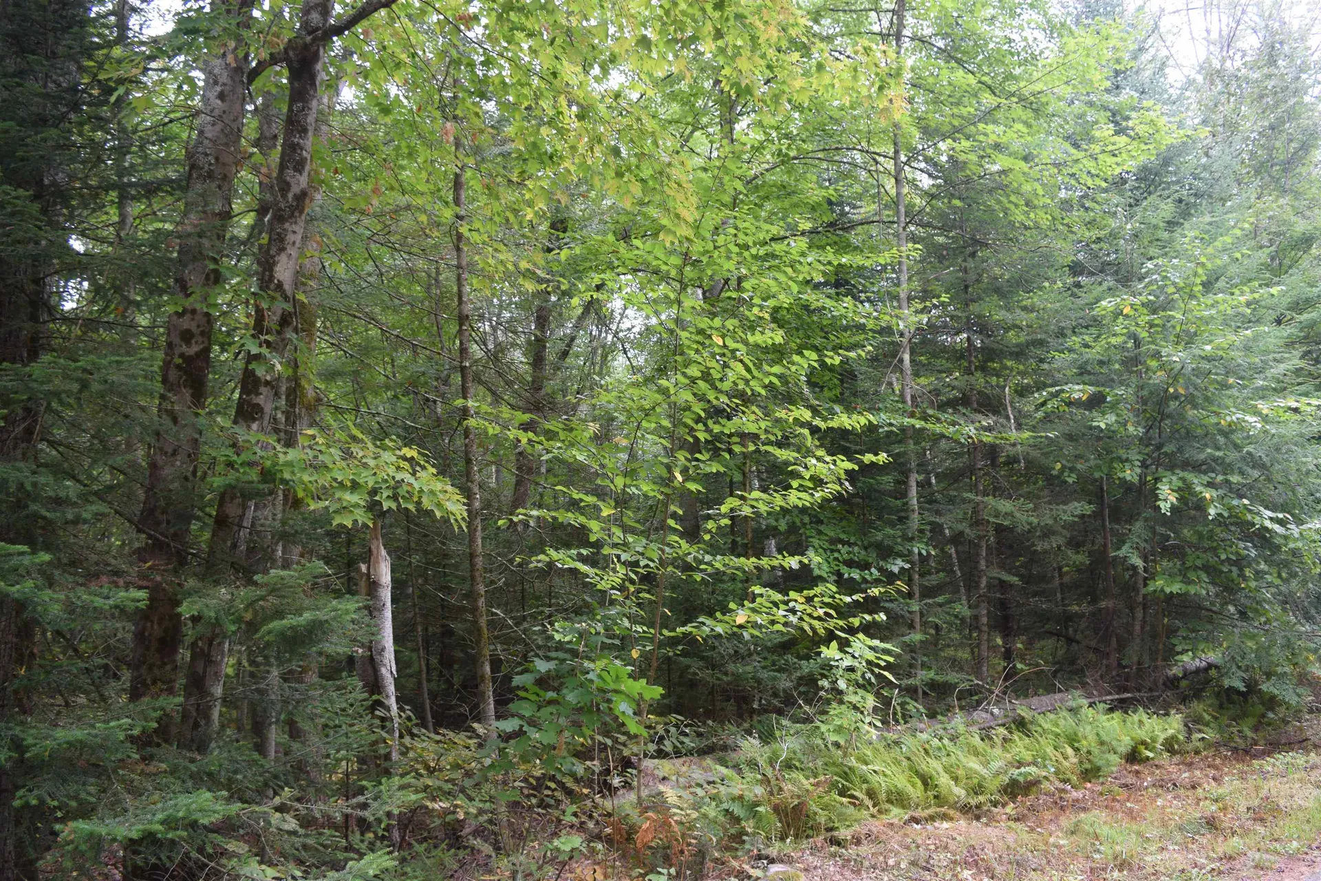 Pawtuckaway Road Haverhill NH 03765