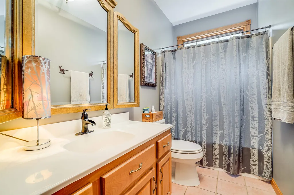 85 E Chocorua River Drive Tamworth NH 03817
