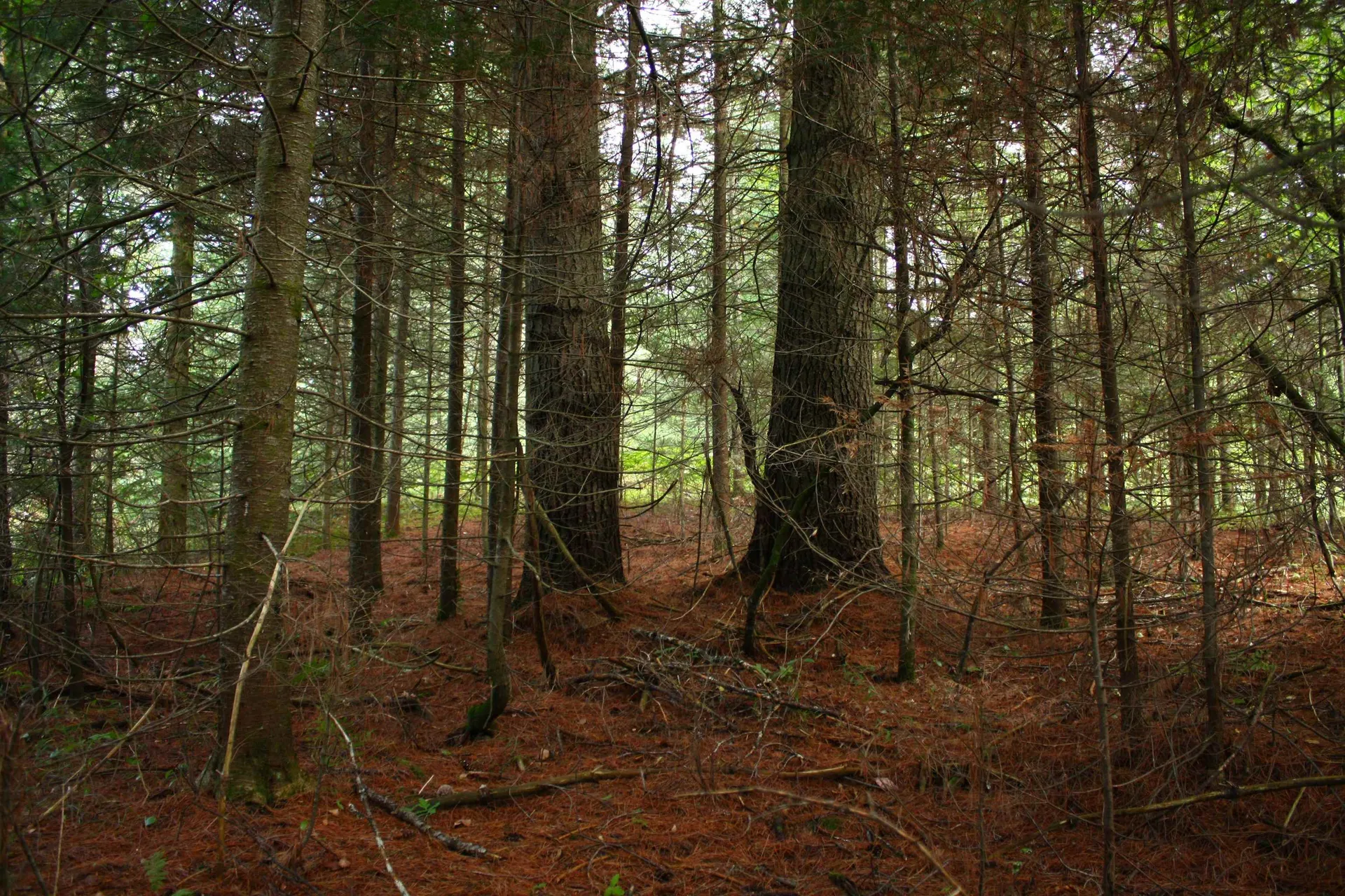 000 Scotch Hollow Road Newbury VT 05051