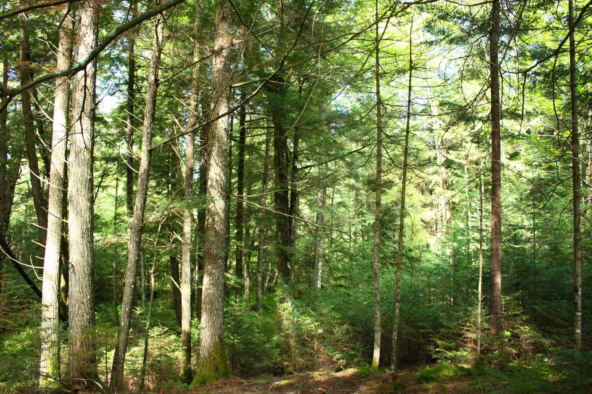 000 Scotch Hollow Road Newbury VT 05051