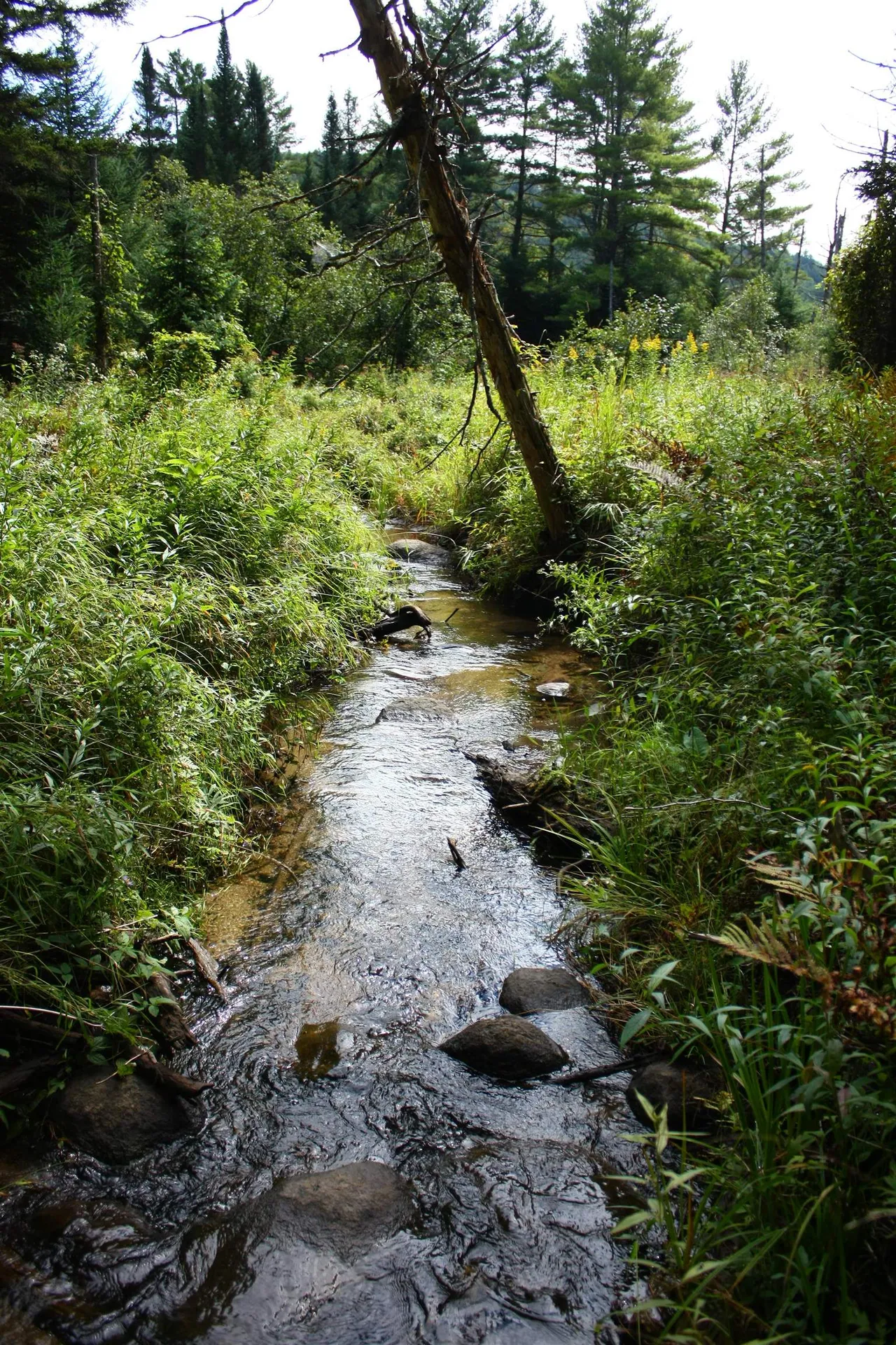 000 Scotch Hollow Road Newbury VT 05051