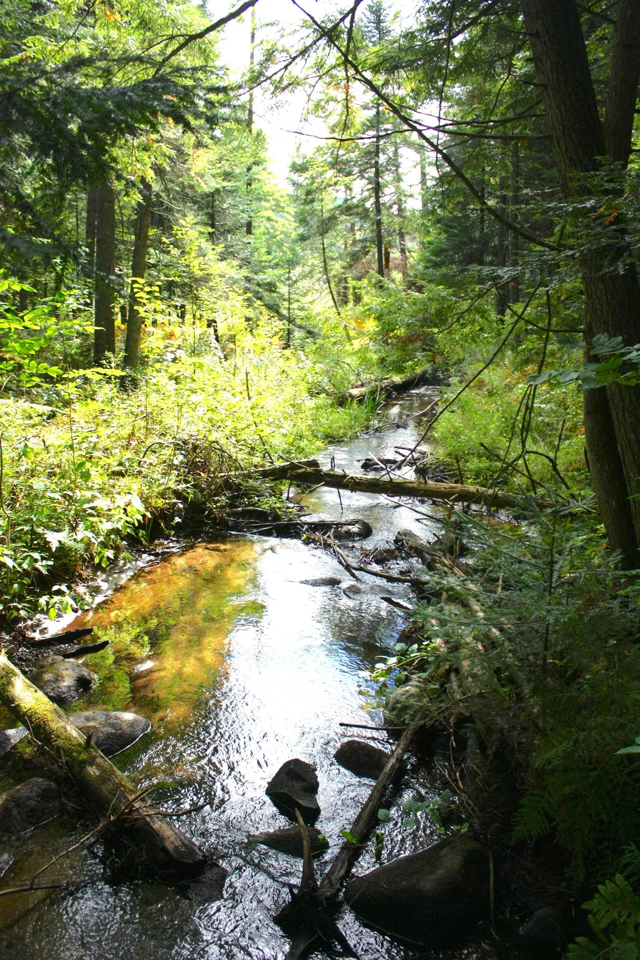 000 Scotch Hollow Road Newbury VT 05051