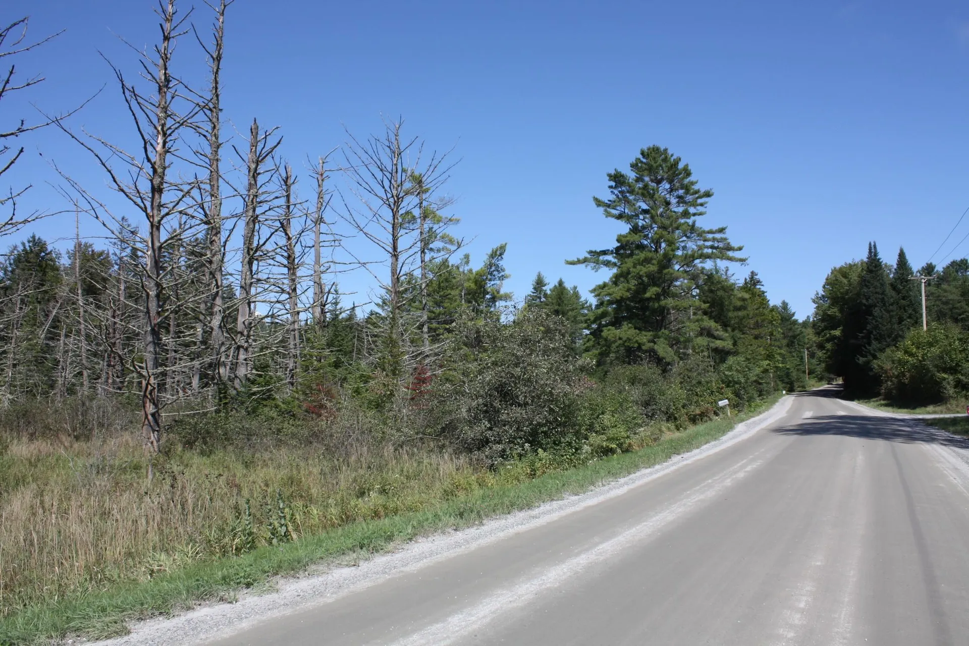 000 Scotch Hollow Road Newbury VT 05051