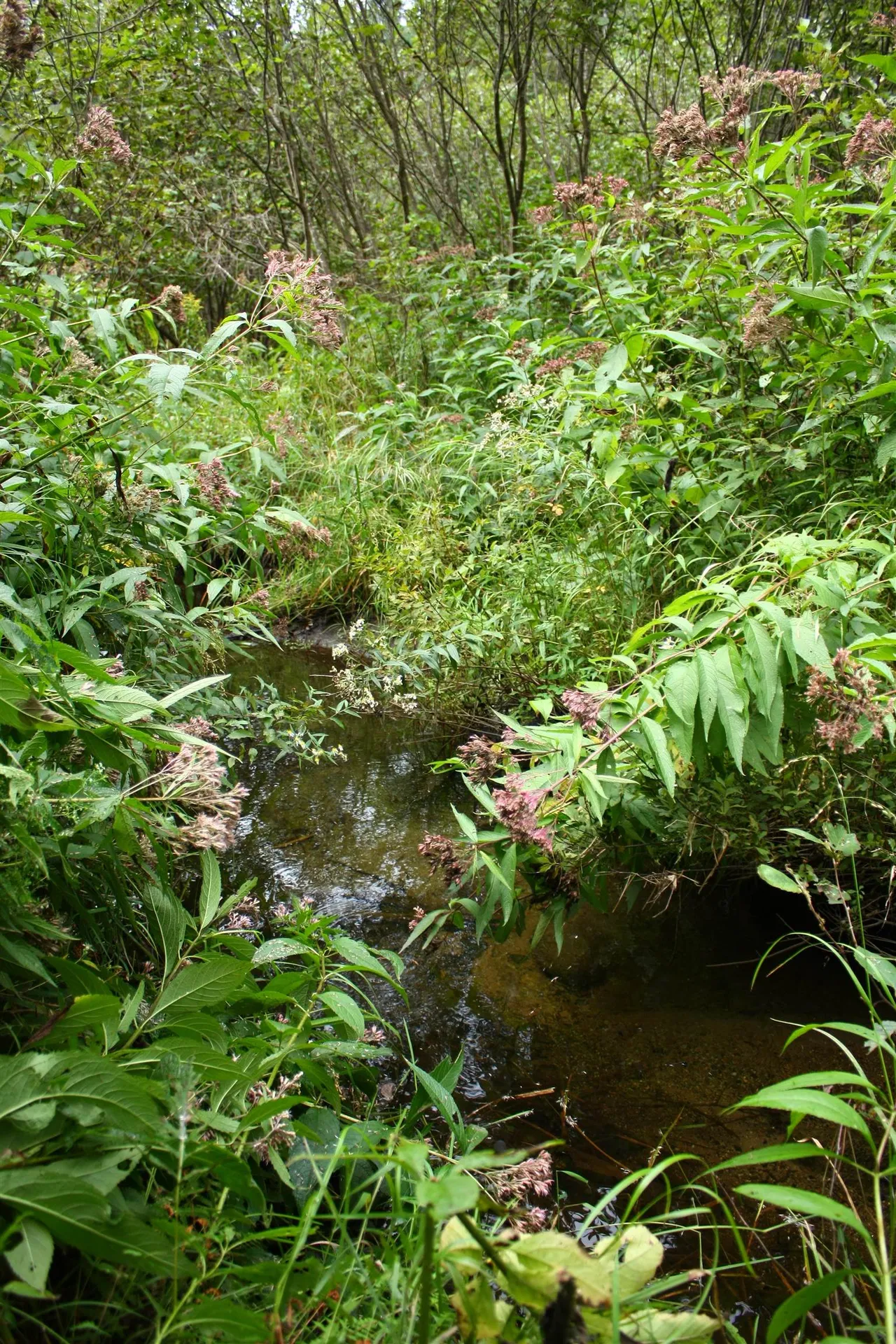 000 Scotch Hollow Road Newbury VT 05051