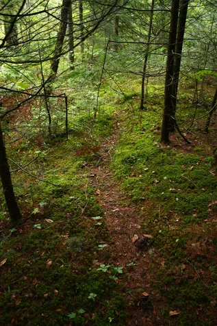 000 Scotch Hollow Road Newbury VT 05051