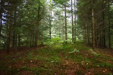 000 Scotch Hollow Road Newbury VT 05051