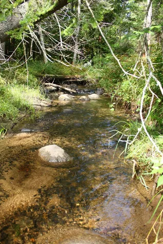 000 Scotch Hollow Road Newbury VT 05051