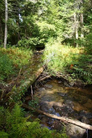000 Scotch Hollow Road Newbury VT 05051