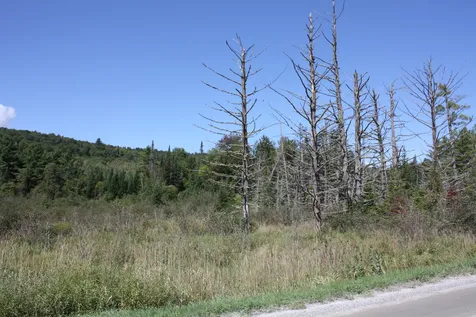 000 Scotch Hollow Road Newbury VT 05051