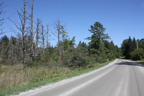 000 Scotch Hollow Road Newbury VT 05051