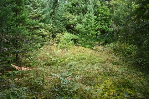 000 Scotch Hollow Road Newbury VT 05051