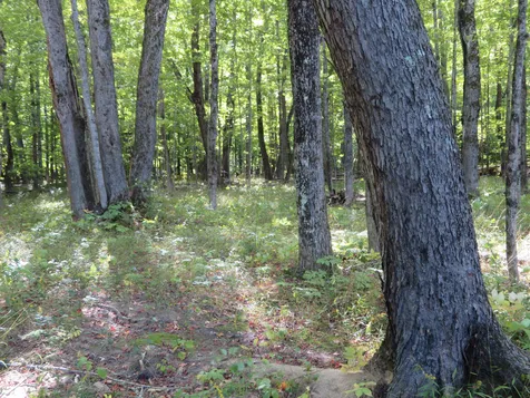 2093 West Side Road Conway NH 03860