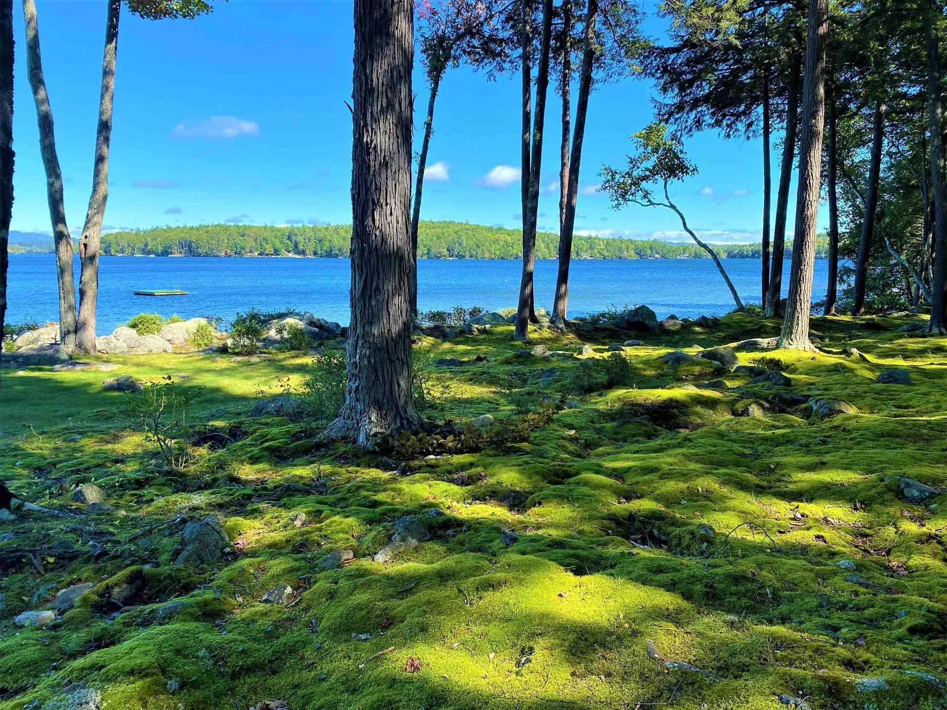 11b Windermere Road Moultonborough NH 03254