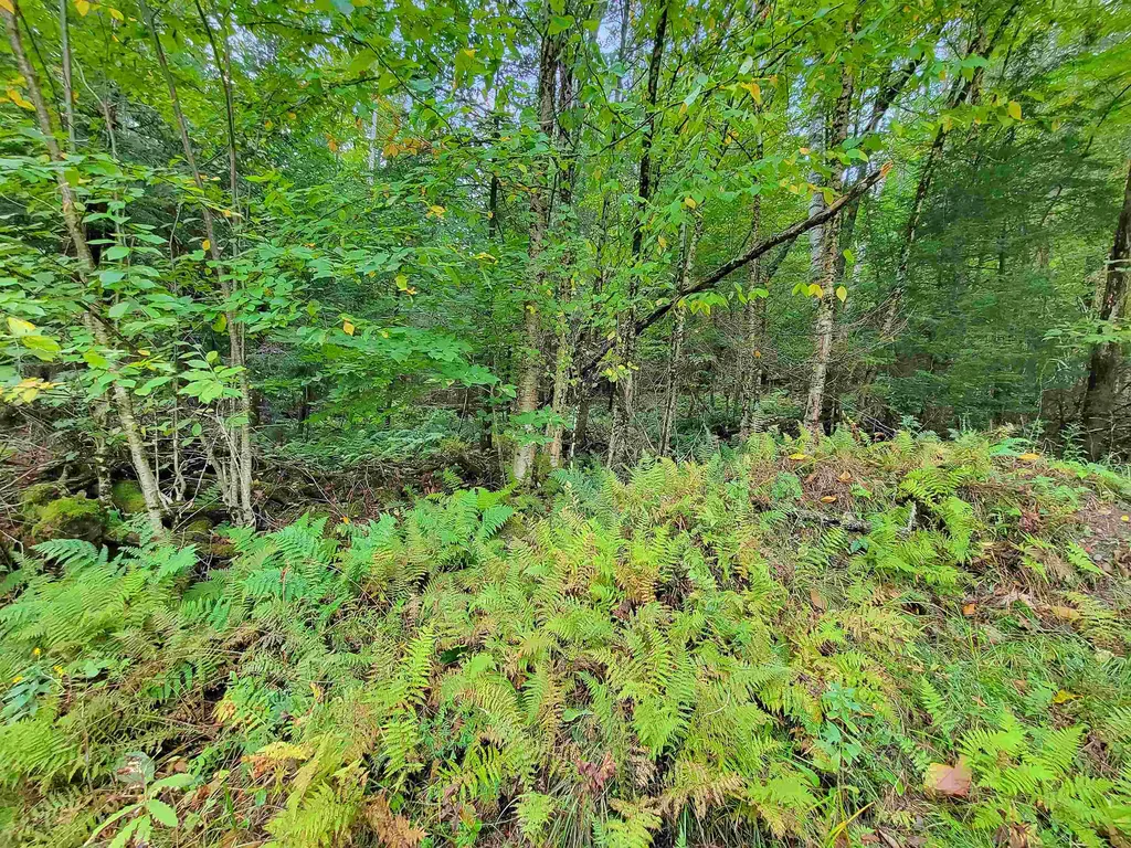 00 Straford Road Haverhill NH 03785