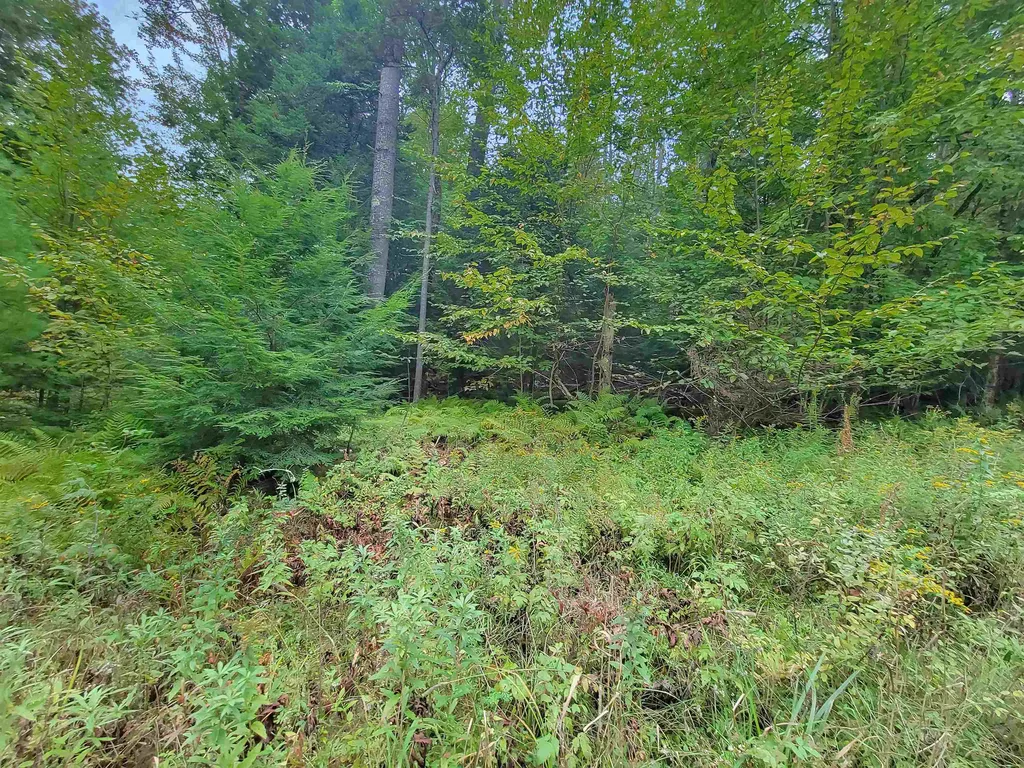 00 Straford Road Haverhill NH 03785