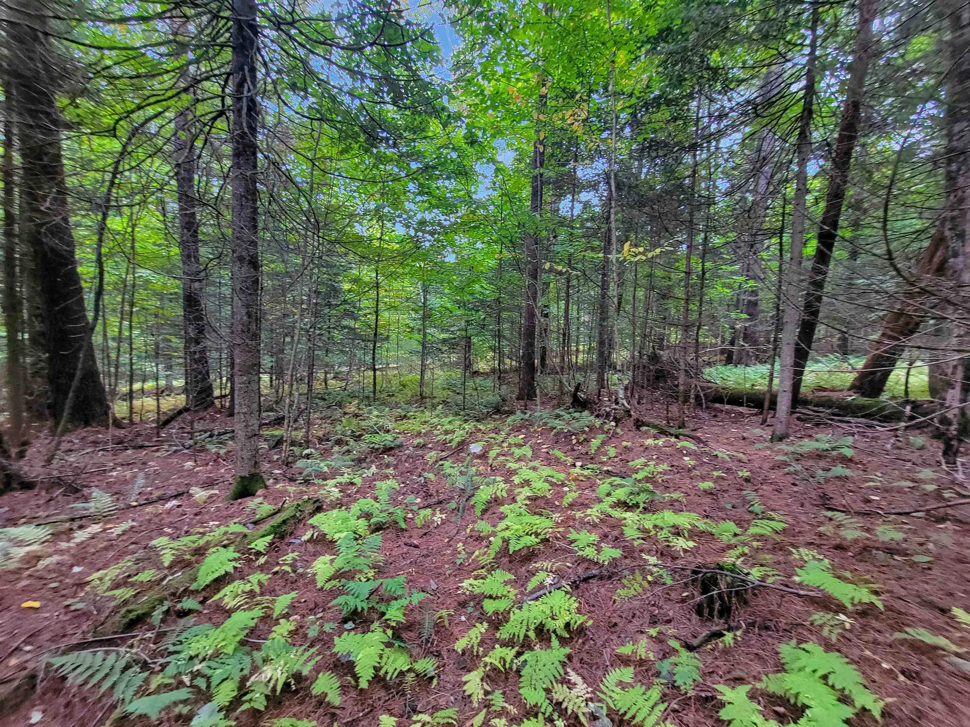 00 Straford Road Haverhill NH 03785