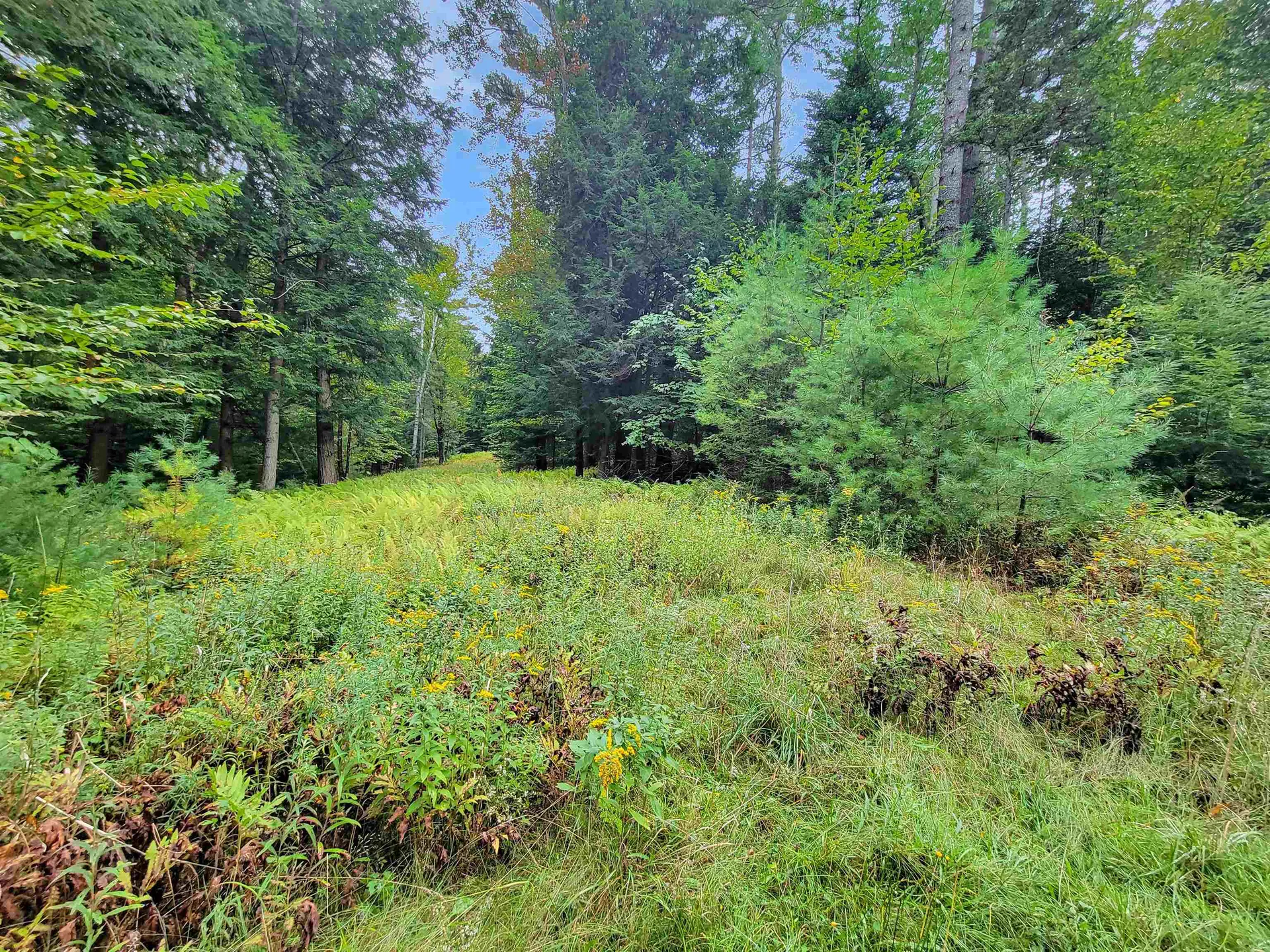 00 Straford Road Haverhill NH 03785
