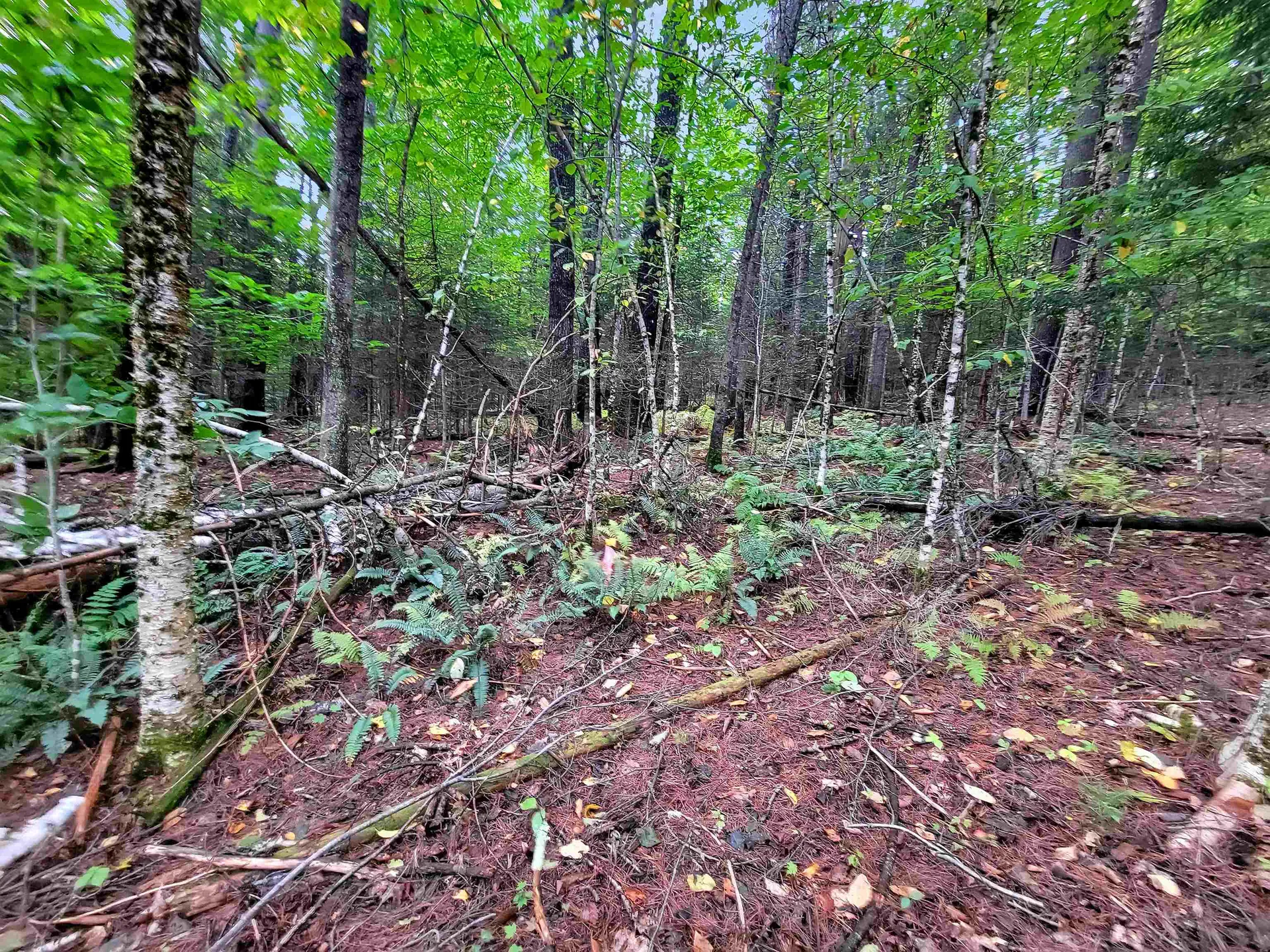 00 Straford Road Haverhill NH 03785