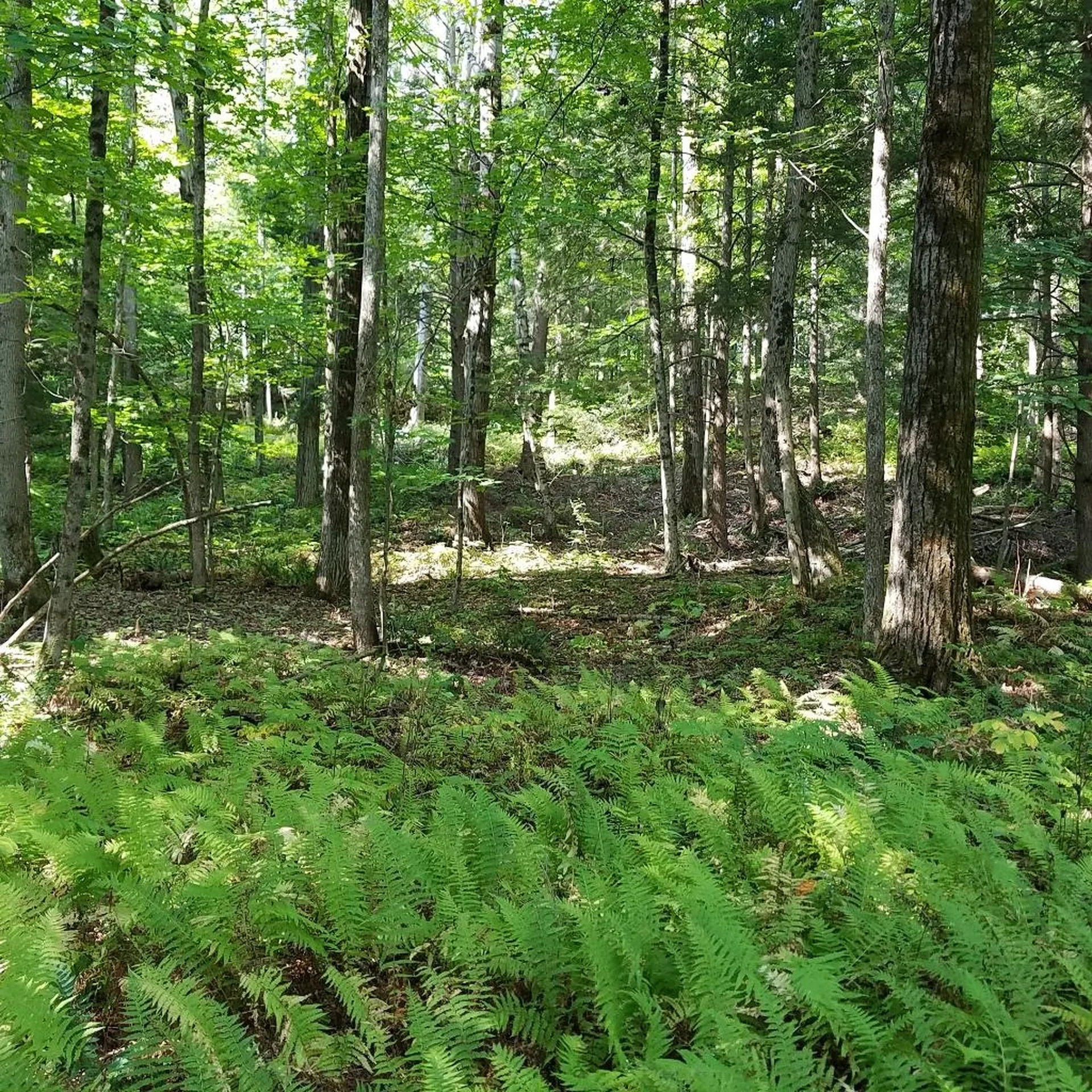 453 Graniteville Road Barre Town VT 05654