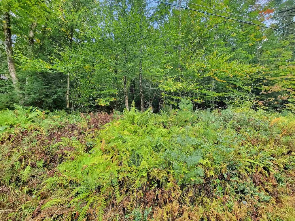 201-096 Lakeside Drive Haverhill NH 03784