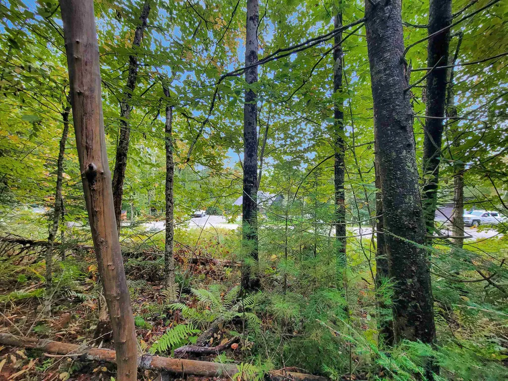 201-096 Lakeside Drive Haverhill NH 03784