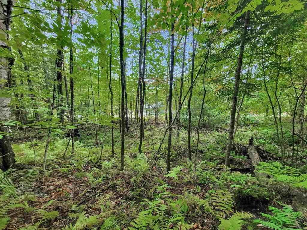 201-096 Lakeside Drive Haverhill NH 03784
