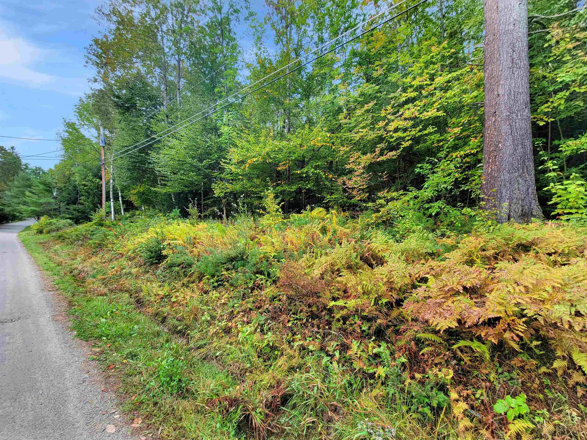 201-096 Lakeside Drive Haverhill NH 03784