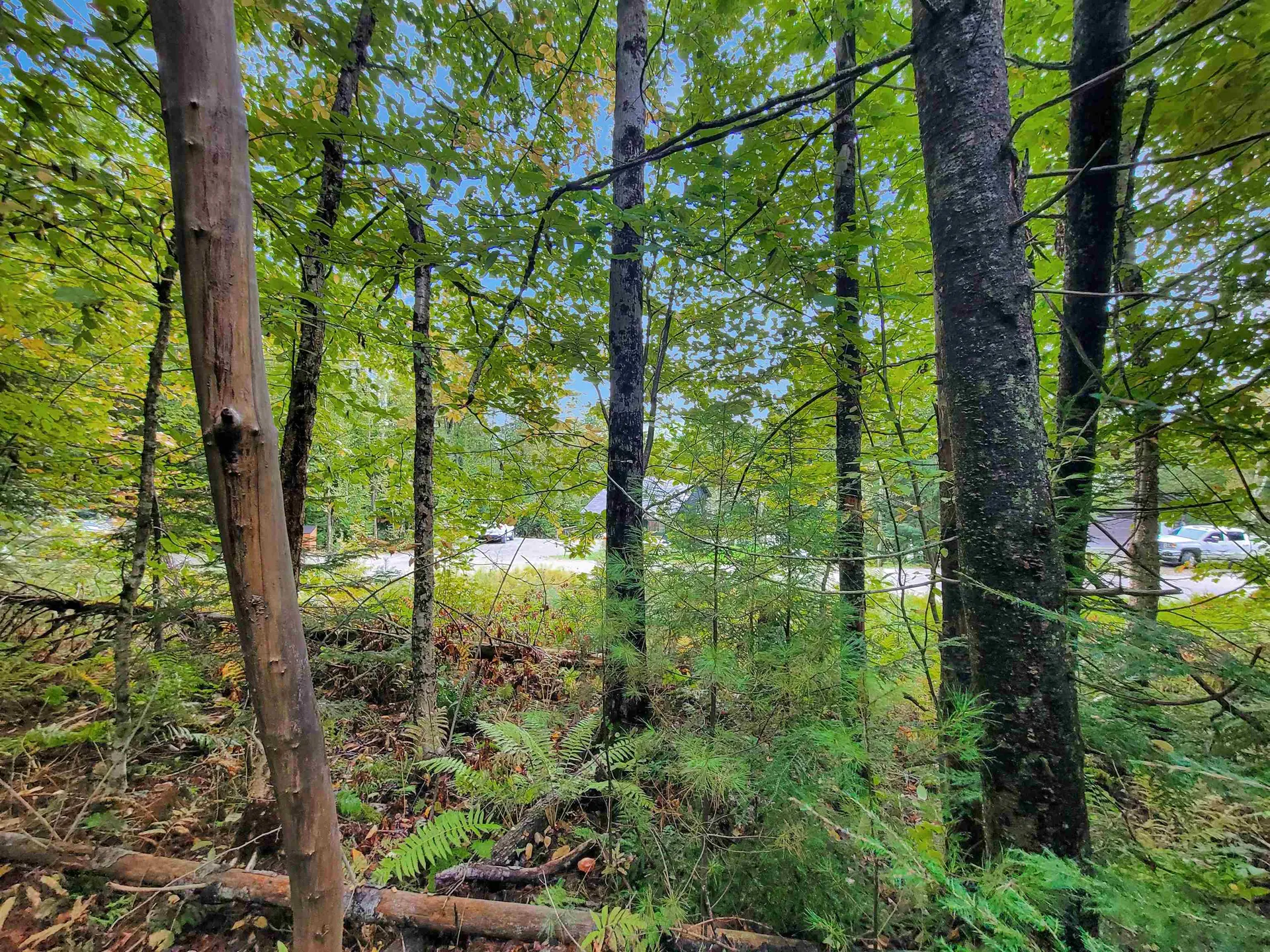 201-096 Lakeside Drive Haverhill NH 03784