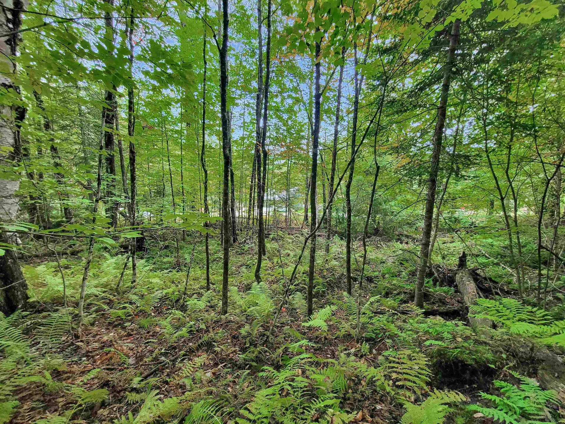201-096 Lakeside Drive Haverhill NH 03784