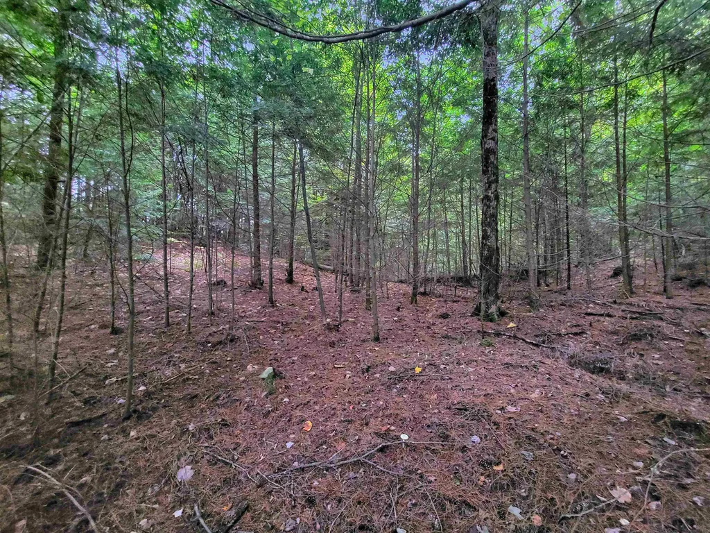 201-288 White Mountain Road Haverhill NH 03785