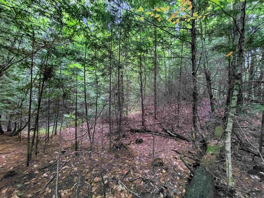 201-288 White Mountain Road Haverhill NH 03785
