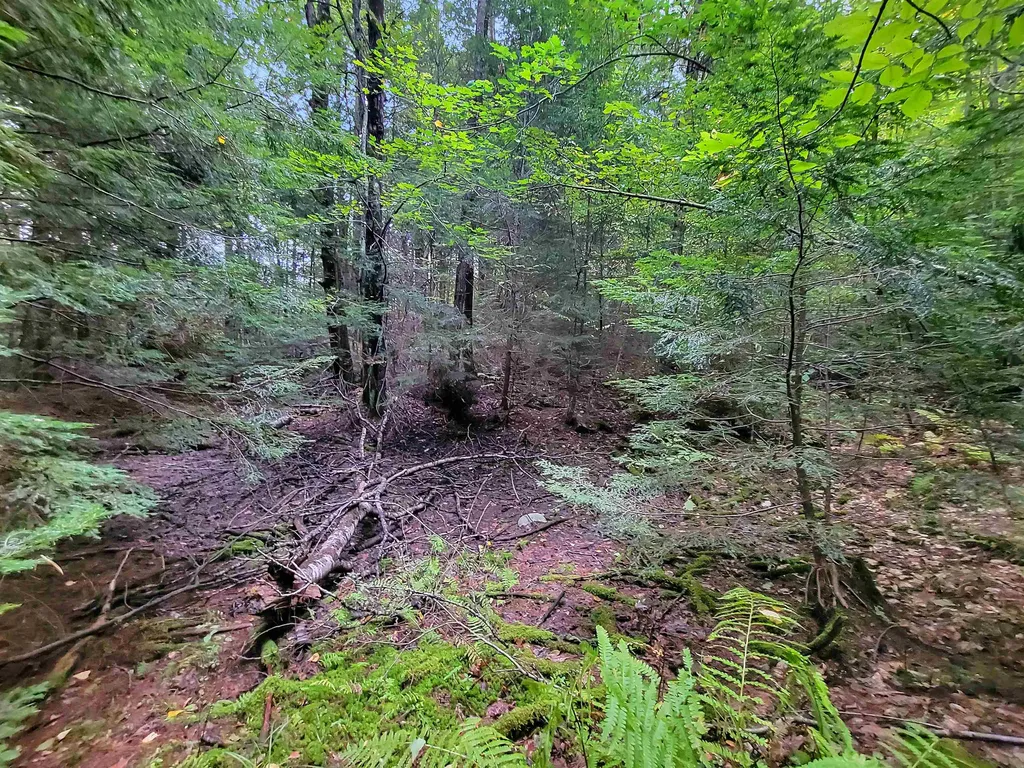201-288 White Mountain Road Haverhill NH 03785