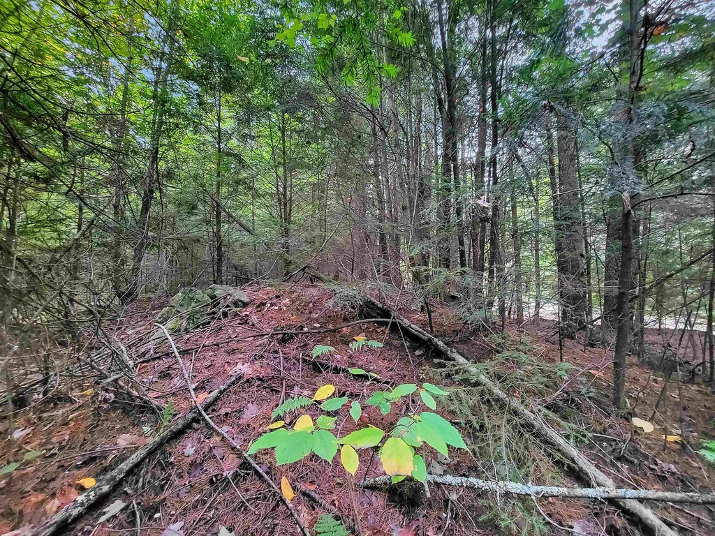 201-288 White Mountain Road Haverhill NH 03785