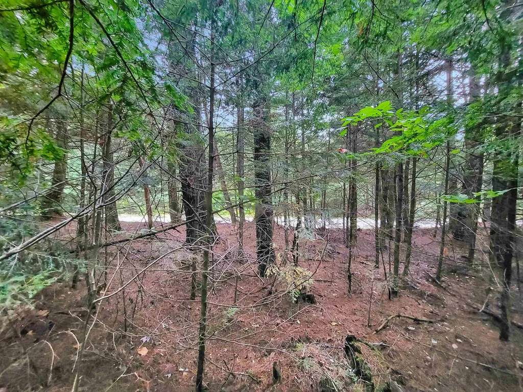 201-288 White Mountain Road Haverhill NH 03785