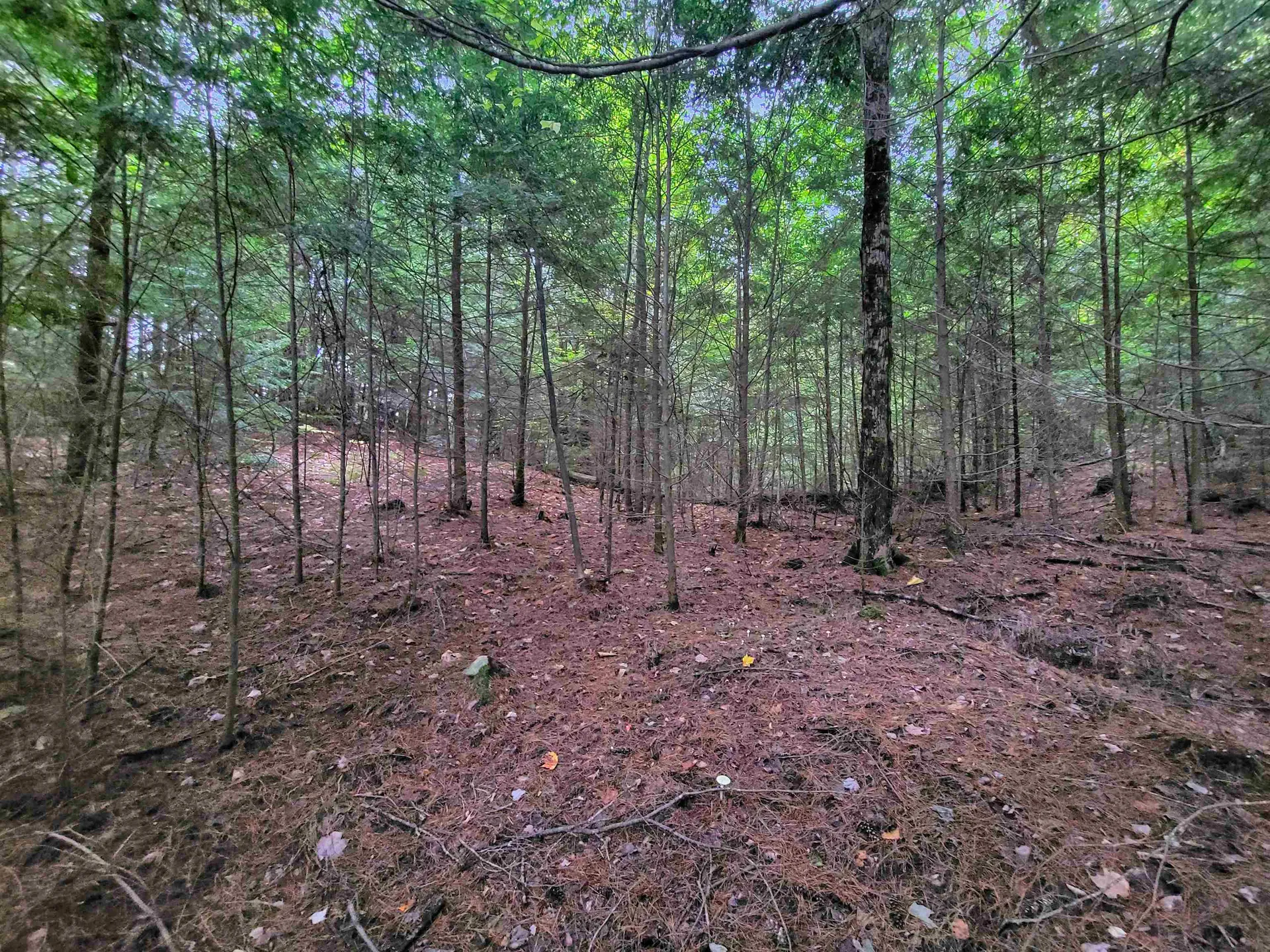 201-288 White Mountain Road Haverhill NH 03785