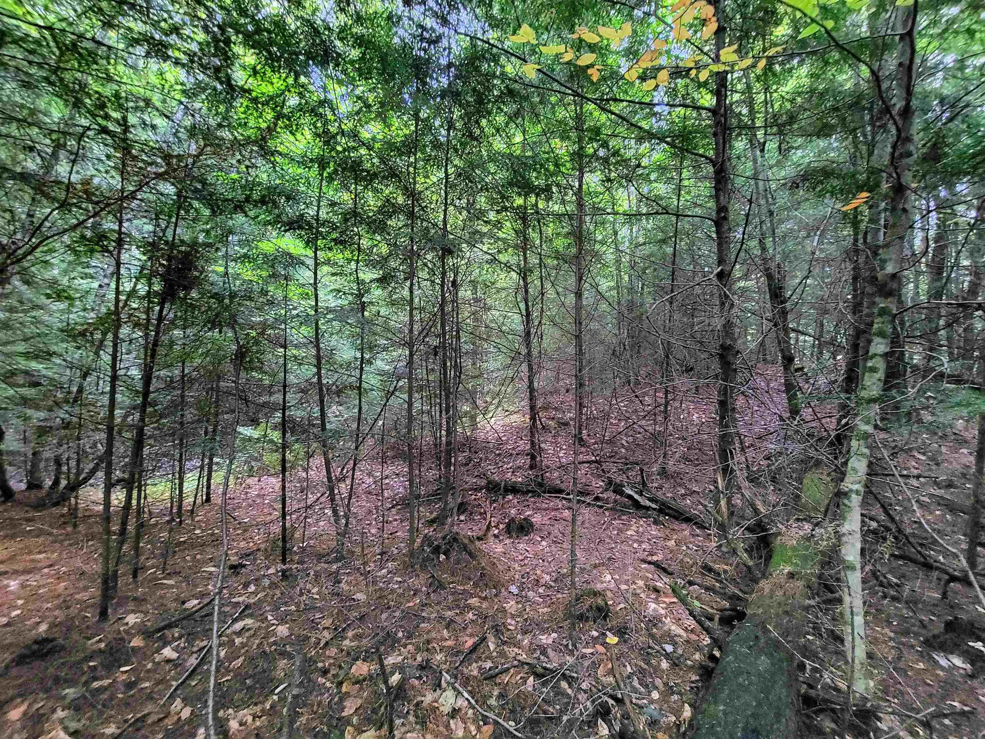 201-288 White Mountain Road Haverhill NH 03785