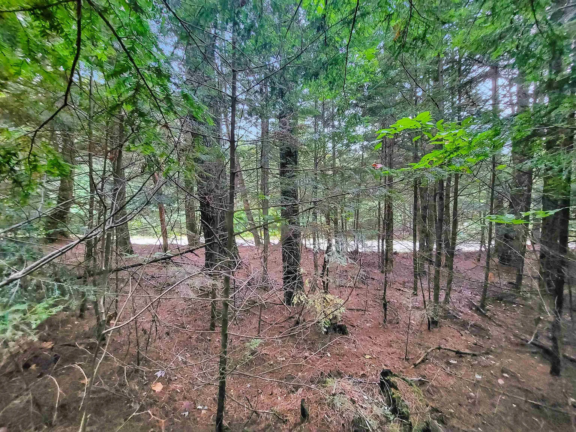 201-288 White Mountain Road Haverhill NH 03785