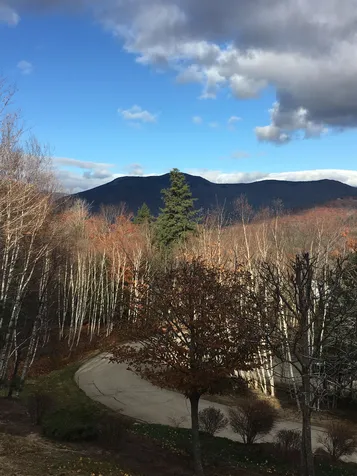 36 Attitash Woods Road Bartlett NH 03812