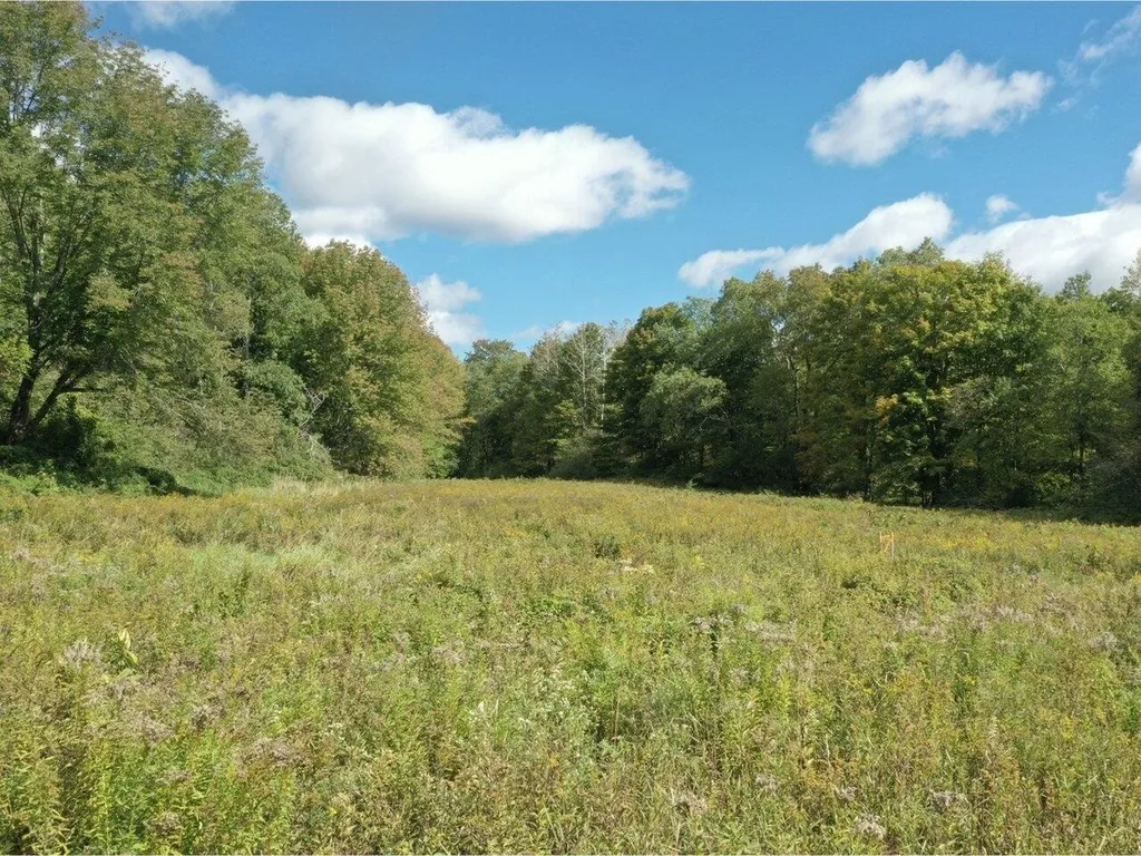 Lot 2b - 91 Raceway Road Jericho VT 05465
