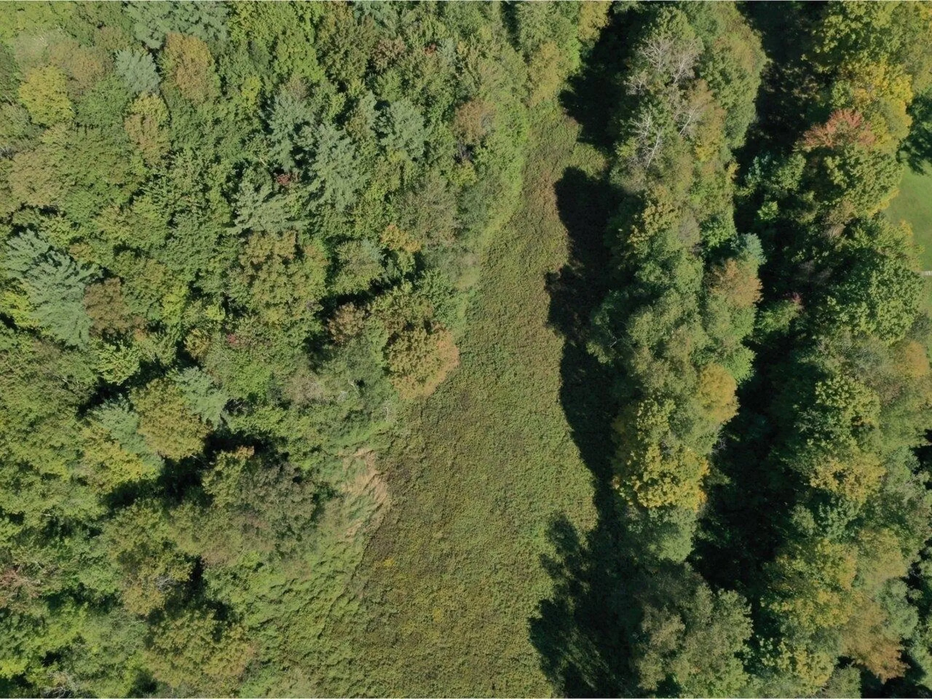Lot 2b - 91 Raceway Road Jericho VT 05465
