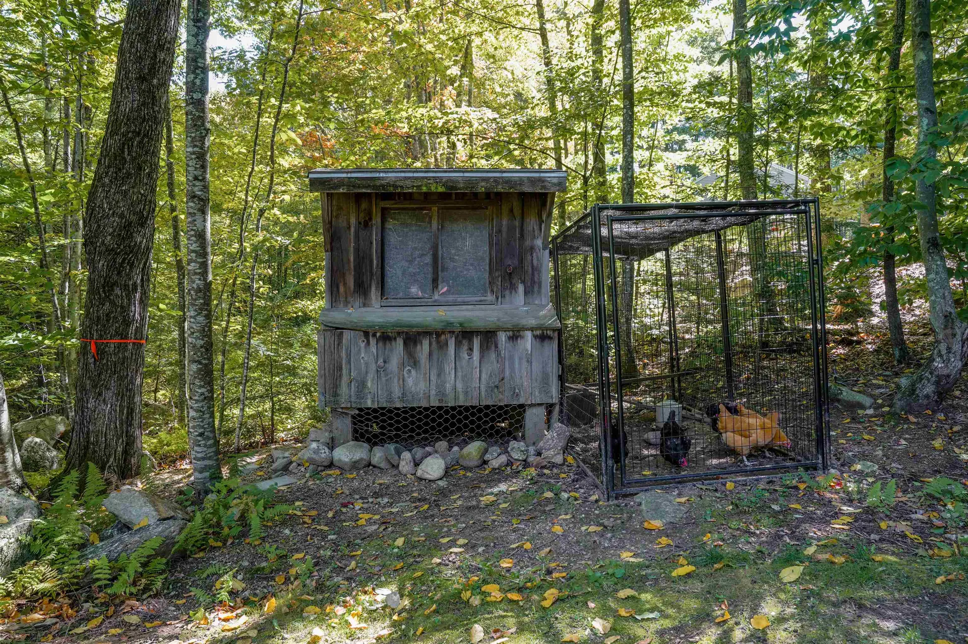 73 Guys Lane Weare NH 03281