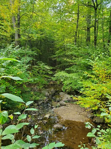 97 Shute Hill Road Sanbornton NH 03269