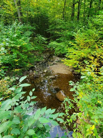 97 Shute Hill Road Sanbornton NH 03269