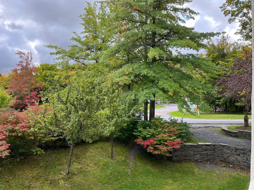 207 Village Gate Drive Warren VT 05674